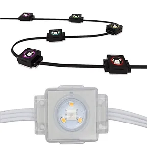 DC36V IP68 RGBW LED Permanent Outdoor Lighting LED Pixel Light Eave Lights